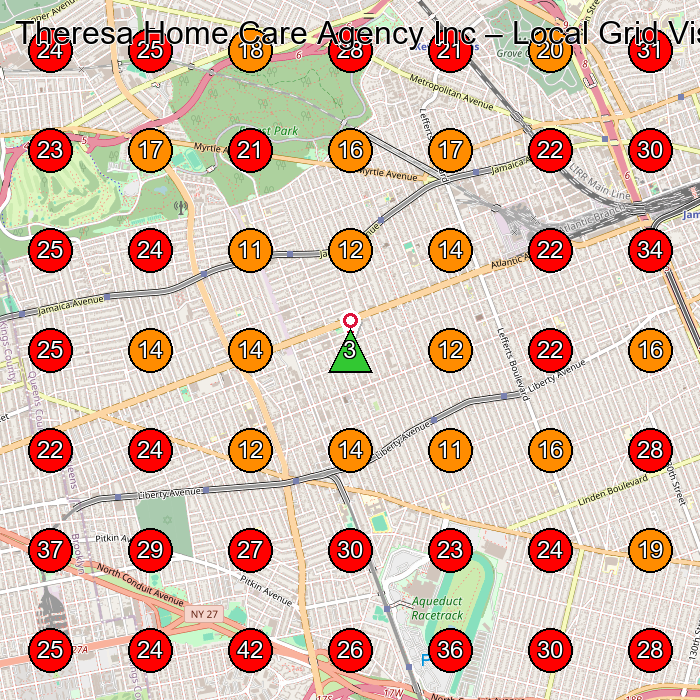 Theresa Home Care Agency Inc GeoGrid visibility map for Home Health Care Service in Ozone Park